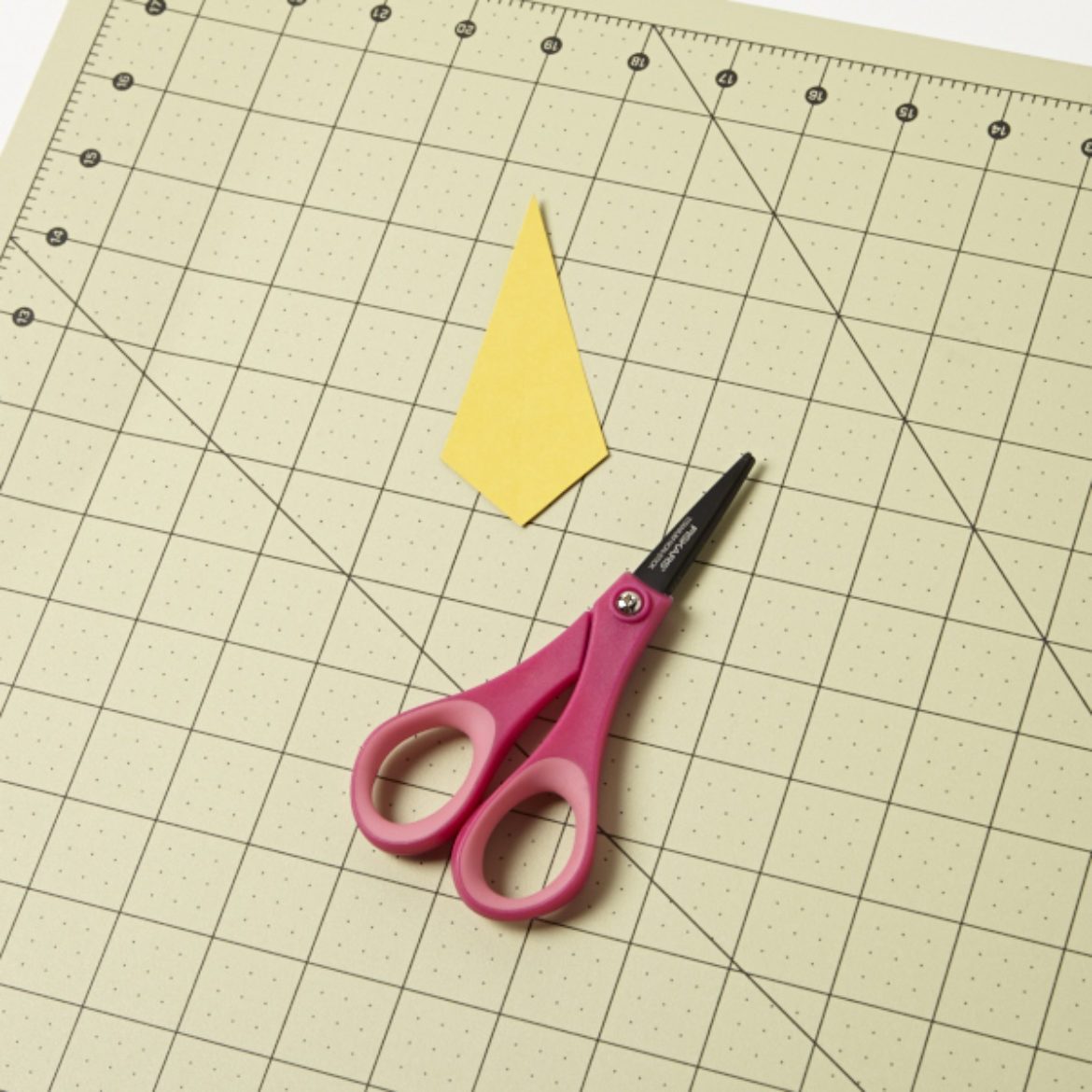 shape drawn in the previous step cut out