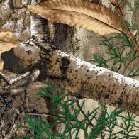 Swatch for Realtree Edge™ Camo Duck Tape® Brand Duct Tape, 1.88 in. x 15 yd.