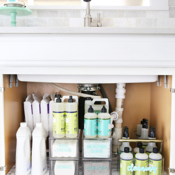 Organized Under Sink Cabinet 2