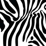 Swatch for Printed Duck Tape® Brand Duct Tape - Zebra, 1.88 in. x 10 yd.